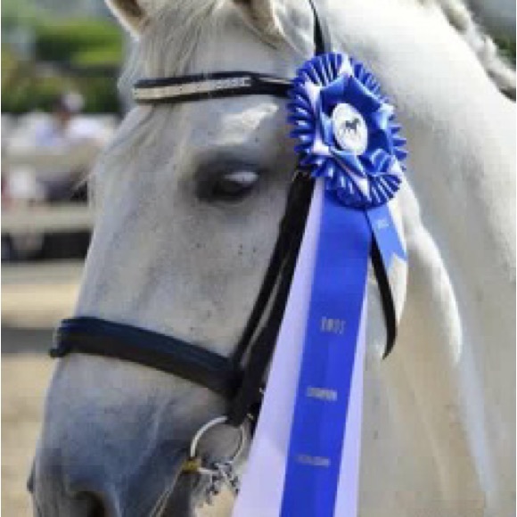 Meet your Posher, Elaine - Picture 4 of 4